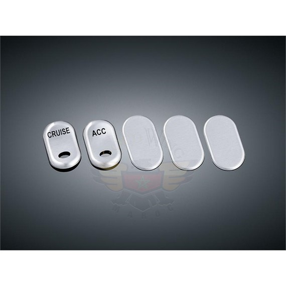 ROCKER SWITCH COVERS, FLHX/FLHXSE/FLTRX 7233